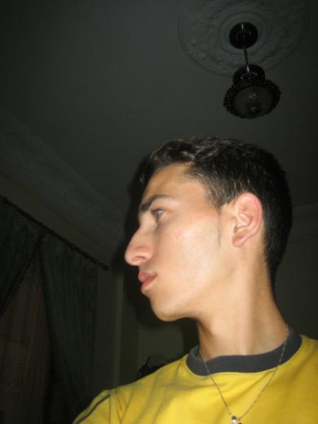 bla mangol chkon hit m3rof